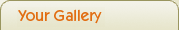 Your Artist Gallery