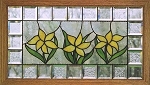 Daffodil Transom