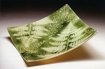 Fern Plate Project