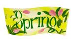 Spring Fling Fused Banner