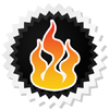 ArtFire Artist