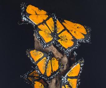 trending image