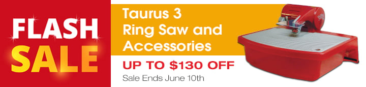 Flash Sale - Taurus 3 and Accessories