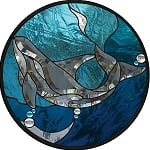 Killer Whale Beveled Panel