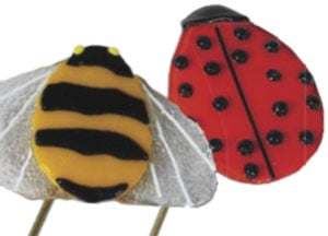 Ladybug