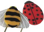 Ladybug