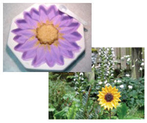 Summer Sunflower