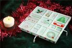 Christmas Trivet