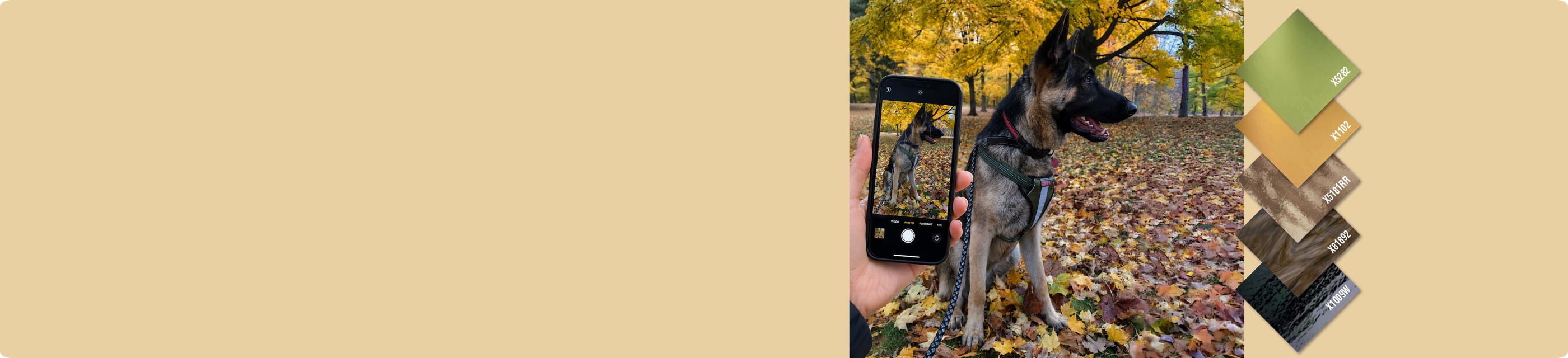Meet the Palette AppInstantly MatchPhotos to Glass