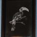 Engrave Glass