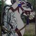 Wonky Paw Creations