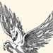 QuailFeathers