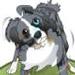 Dizzy Dog Designs