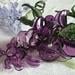 The Glass WIsteria