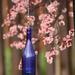 Oregon Bottle Art