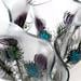 CARRIE PAXTON DESIGN