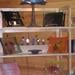 Blissful Creations