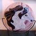 Clair's Blue Horse Creations