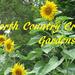 North Country Crafts and Gardens