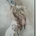 Charles Kline, Wildlife Artist