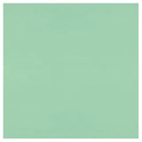 16 x 20 Bullseye Mint Green Opal Thin - 90 COE