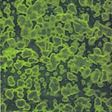 12 x 12 Youghiogheny Emerald Green Opal Mottle