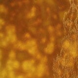 12 x 12 Youghiogheny Autumn Gold, Yellow Reproduction