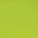 10 x 16 Bullseye Spring Green Opal Double Rolled - 90 COE