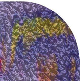 1/4 Sheet Green / Magenta Blue on Clear Ripple - 90 COE