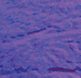 4 X 4 Purple On Thin Black - 96 COE