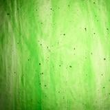 16 x 20 Wissmach Green Onion Streaky