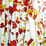 16 x 20 Bullseye Orange, Yellow and Red with Black on Clear Fracture-Streamer - 90 COE