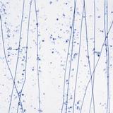 16 x 20 Bullseye Cobalt Blue, Gray Blue and Aqua on Clear Mardi Gras - 90 COE