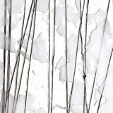 10 x 16 Bullseye White and Black On Clear Fracture-Streamer - 90 COE