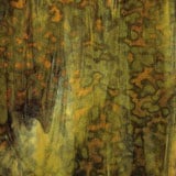 12 x 12 Youghiogheny Avocado Green, Opal White, Brown Mottle