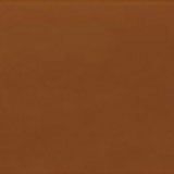 16 x 20 Bullseye Burnt Orange Opal Striker Thin - 90 COE