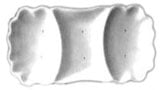 Three Section Ruffled Plate Mold