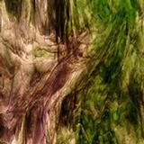 Youghiogheny Green, Ice White and Purple Stipple