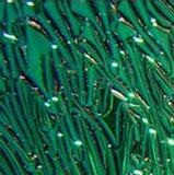 Emerald Crinklized on Thin Black - 90 COE