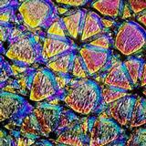 4 x 4 Mixture Geodesic Crinklized on Thin Black - 90 COE