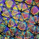 4 x 4 Mixture Geodesic Crinklized on Thin Black - 96 COE