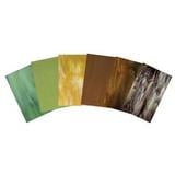 Bullseye Woodland Glass Pack - 90 COE