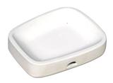  8 x 6-1/2 Designer Plate Mold