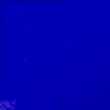 Wissmach Midnight Blue Transparent - 96 COE