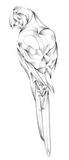 Clear Macaw Bevel Cluster