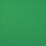 18 x 24 Y96 Mint Green Opal Striker - 96 COE