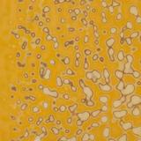 10 x 16 Bullseye Toffee Mottle