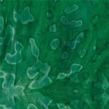 16 x 20 Bullseye Medium Leaf and Emerald Green Mottle