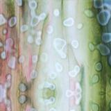 16 x 20 Bullseye White, Olive Green and Gold Pink Mottle