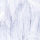 12 x 12 Oceanside Clear & Feather White Semi-Wispy - 96 COE